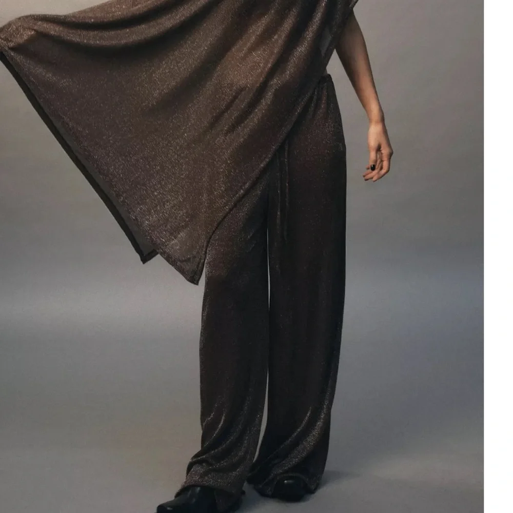 Zara NWT bronze/brown metallic thread drawstring metallic thread palazzo pants